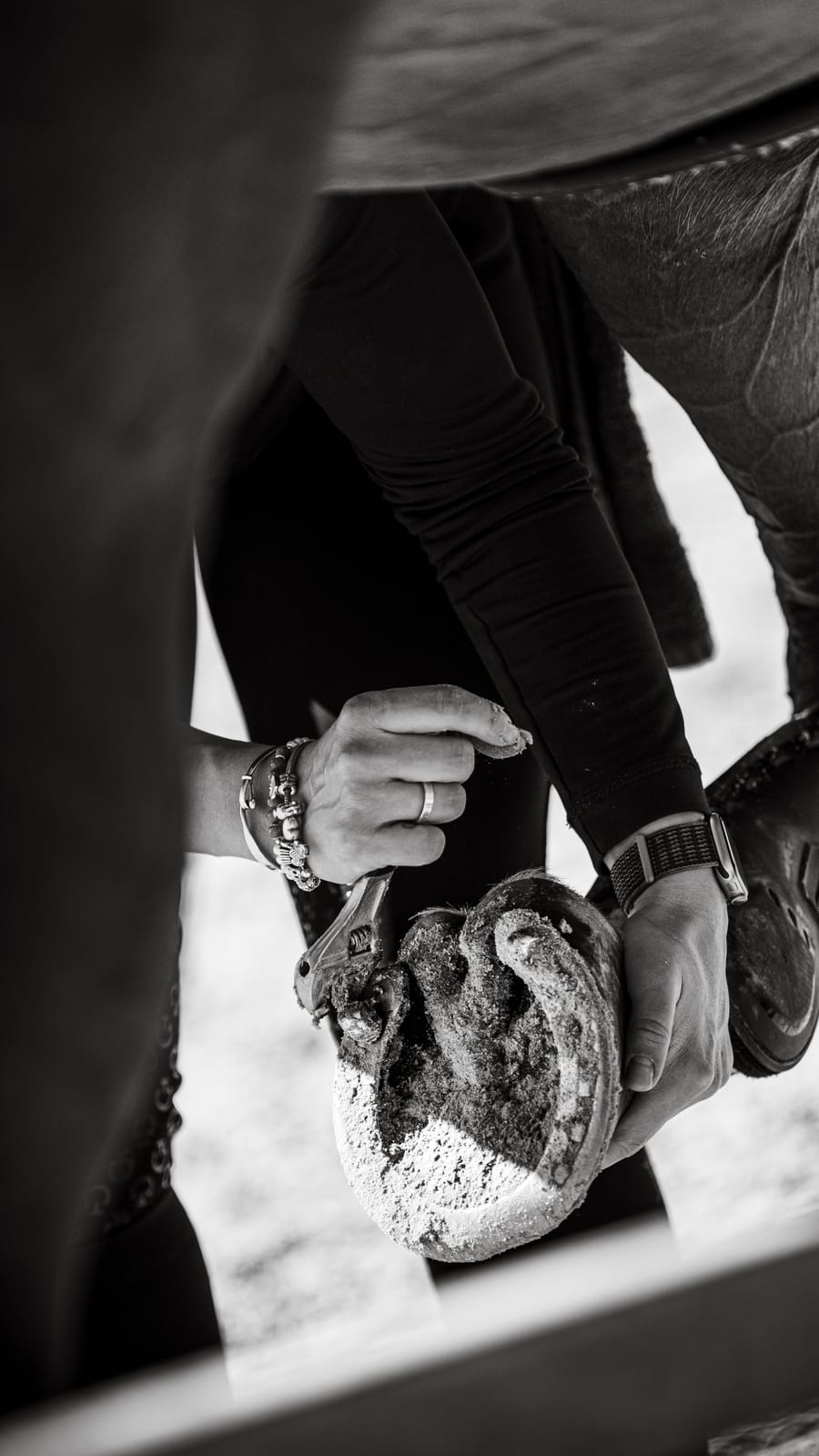 Detalle, fotografía de concurso hípico, por Clara T Media
